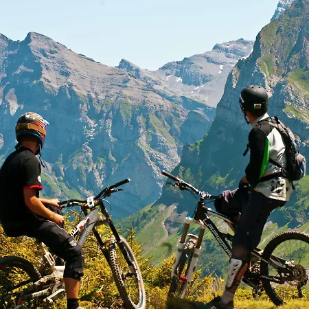 Chalet Le Chantermerle - Chadig